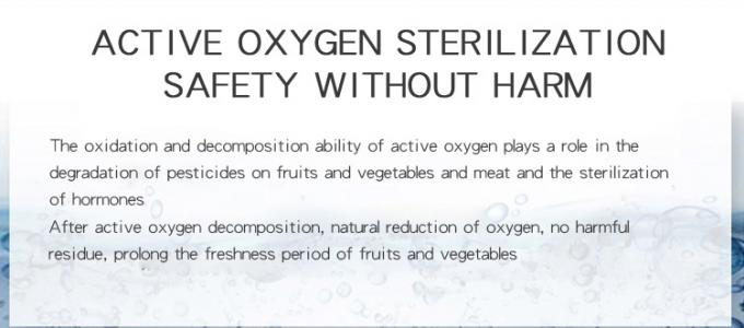 Panneau de verre portable de fruits et légumes stérilisation intelligente machine multifonctionnelle 400mg/h générateur d'ozone pour la cuisine 3