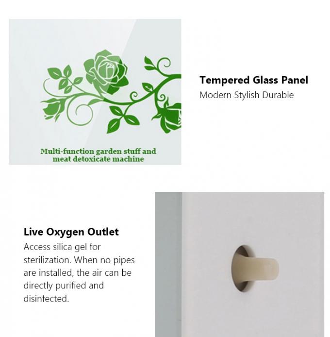 Panneau de verre portable de fruits et légumes stérilisation intelligente machine multifonctionnelle 400mg/h générateur d'ozone pour la cuisine 8