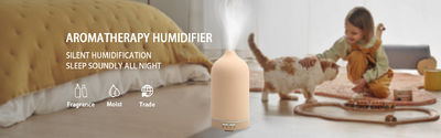 qualité Diffuseur de parfum d'air usine