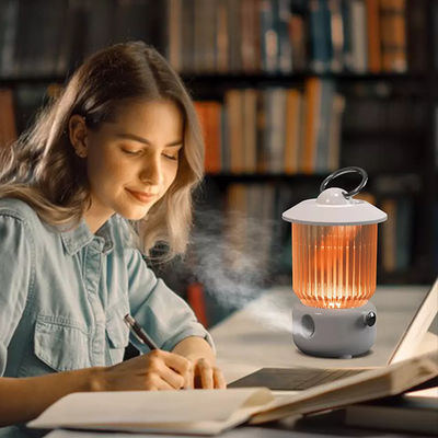 acheter HOMEFISH Humidificateur d' air USB à batterie 260 ml online manufacture