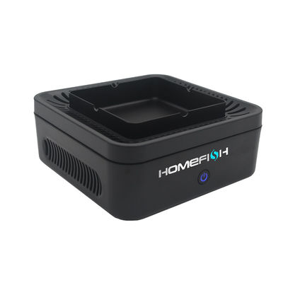 Bon prix Homefish OEM 2023 Purificador De Aire Portatil Purificateur Ions négatifs Purificateur d'air pour voiture en ligne